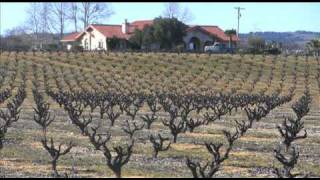 Exploring Californias Zinfandel Zone [upl. by Maurita]