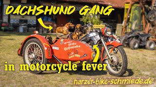 Dachshund Gang 🐕 in motorcycle fever  Bikeschmiede [upl. by Hayes]