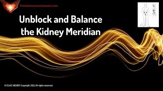 Unblock and Balance the Kidney Meridian  EnergyFrequency Healing Music [upl. by Parthena]