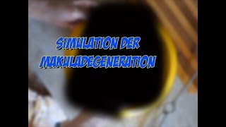 Erkrankungen der Augen  Simulation der Makuladegeneration [upl. by Anitnerolf]