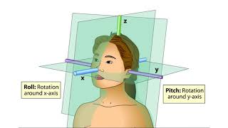 The Vestibular System [upl. by Chelsey]