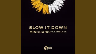 Slow It Down feat SAMBLACK [upl. by Ativahs]