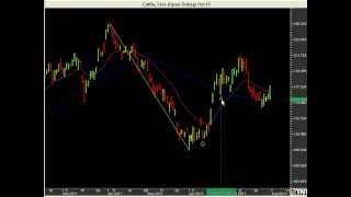 How to Identify Support and Resistance  Support and Resistance Trading Tutorial [upl. by Ahsircal]