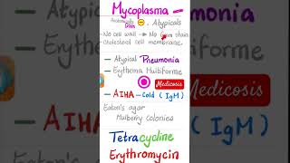 Mycoplasma Pneumoniae  Bacterial pneumonia  Microbiology 🧫 science biology doctor nurse [upl. by Noivert]