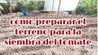 cómo preparar el terreno para sembrar TÓMATE 🌱🍅 [upl. by Patrizia]