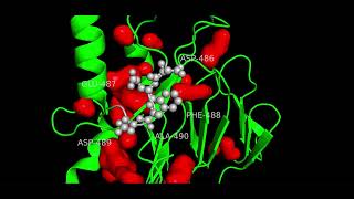 PyMol structure Test [upl. by Mastat]