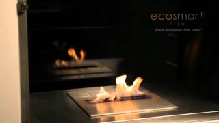 EcoSmart Fire Fusion Design Fireplace [upl. by Anallise]