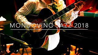 Dirk Van der Linden Trio  MONDOVINO JAZZ 2018 [upl. by Leonteen443]