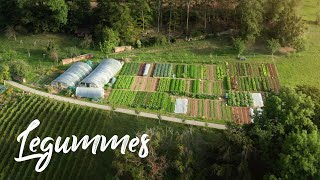 BEAUTIFUL Farm on a STEEP SLOPE in Switzerland  Legummes [upl. by Cerellia739]