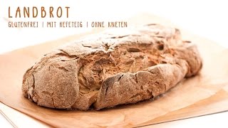 Landbrot glutenfrei mit Hefeteig  gelingsichere Anleitung mit allen Einzelschritten [upl. by Rucker]