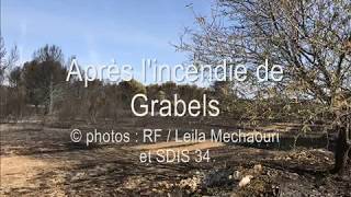 Après lincendie de Grabels [upl. by Marcie]