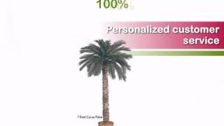 5 foot Artificial Outdoor Cycas Palm with 36 Fronds and Natural Trunk  artificialplantsandtreesco [upl. by Buzz337]