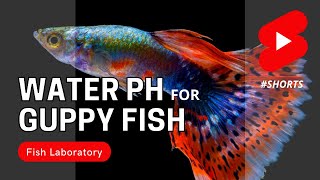 Water pH for Guppy Fish shorts [upl. by Yhtommit]