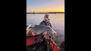 INSANE MULWAL COD FISHING 118CM COD [upl. by Nahtanoy]