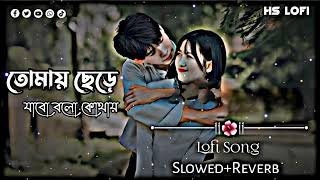 তোমায় ছেরে জাবো বলো কোথায়  Tomay Cere Jabo Bolo Kothay Slow Music  Music Lofi Slowed Reverb [upl. by Stevy]