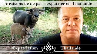 4 bonnes raisons de ne pas sexpatrier en Thaïlande [upl. by Nivahb533]