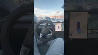 tesla automobile autopark teslamodel3 canada entertainment ytshorts shorts [upl. by Oludoet]