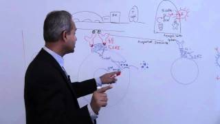 Immunology Basophil Mast Cells Lecture 4 Part 3 [upl. by Germano]