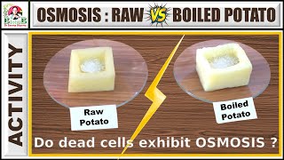 Osmosis  Raw vs Boiled Potato Experiment Class 9 Science Chapter 5 [upl. by Mortie]