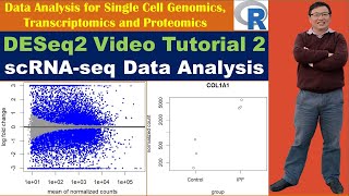 DESeq2 Video Tutorial 2 scRNAseq Data Analysis [upl. by Ani993]