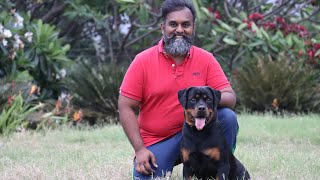 PODCAST WITH DHANU ROY XCELLSA ROTTWEILER DOG BREEDER [upl. by Benco633]