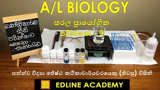 Benedicts Test for Monosaccharides Biology Practicals Advanced Level Biology Sinhala Lessons [upl. by Yelknirb]