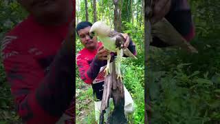 A man walks through the forest to meet a white eagle on a tree trunkpart1short edit funny duet [upl. by Oicelem]