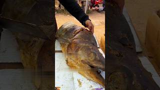 Masterful Dried Tuna Slicing Giant Fish to Gourmet Delicacy” 🐟 tuna driedfish bigfish ytshorts [upl. by Okikuy29]