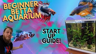 How to setup Easy planted Betta aquarium [upl. by Schnur]