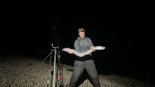 🔴 SEA FISHING UK  Selsey East Beach 🔴 [upl. by Nojed509]