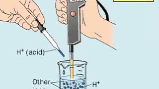 How to make a Buffer Solution [upl. by Acinimod]