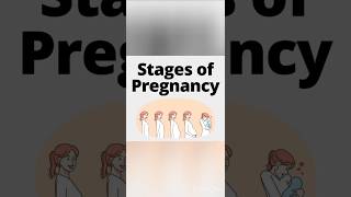 Stages of pregnancy pregnancy foryou baby [upl. by Kleon207]