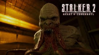 【STALKER 2 Heart of Chornobyl】  Ми увійшли до зони 1 [upl. by Jenna]