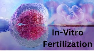 In Vitro Fertilization amp ICSI Techniques [upl. by Beatriz]