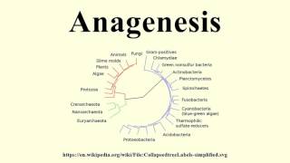 Anagenesis [upl. by Sucul]