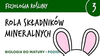 Rola składników mineralnych sole mineralne  znaczenie  Fizjologia roślin 3  matura z biologii [upl. by Drofhsa362]