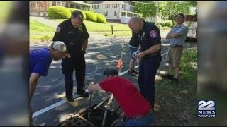 Ducklings saved by Northampton fire department [upl. by Ahsimaj849]