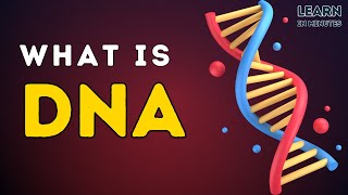 What is DNA  Deoxyribonucleic Acid  Basics Structure and Functions of DNA  Genetics [upl. by Gibeon118]