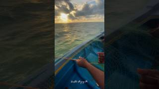 Kalpitiya Lagoon 🇱🇰 traveling travel travelsl kalpitiya fishing video trend trendingshorts [upl. by Onurb]