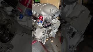 Hi ram intake Amazon LS intake manifold [upl. by Rouvin319]