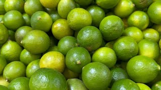 El precio del limón se dispara en Perú [upl. by Nahpets]