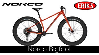 Norco Bigfoot [upl. by Boulanger949]