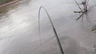 QUANDO VOCÊ PESCA EM UM RIO LOTADO DE PEIXE E FICA MALUCO [upl. by Stearn]