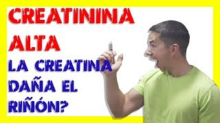 CREATININA ALTA Que es para que sirve causas daño renal suplementación con creatina🏋💪🔬 [upl. by Elnukeda]