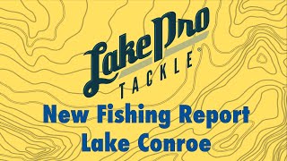 Lake Conroe Fishing Report 3124 [upl. by Ssecnirp833]