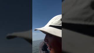 Dagestan fishermen capture close encounter with Russian Kalibr missiles on camera [upl. by Ecneps906]