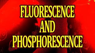 What are Fluorescence and Phosphorescence How it Works [upl. by Idnis]