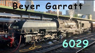 Australian Steam Trains Beyer Garratt 6029  In Review [upl. by Afas]