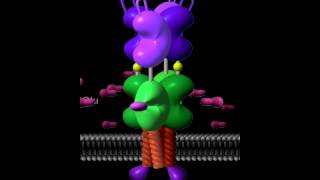 Glutamate receptor Rate My Science [upl. by Gnuhc704]