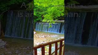 quotTranquil Thoughts on Anger  Waterfall Sounds amp Daily Wisdomquot wisdomquotes [upl. by Vivi]